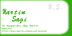 martin sagi business card